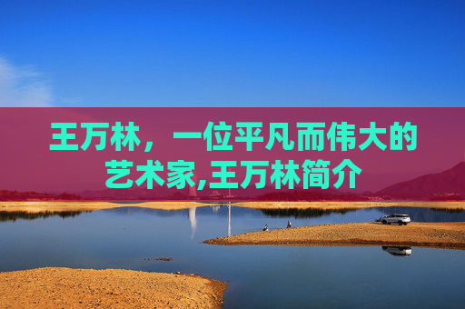 王万林，一位平凡而伟大的艺术家,王万林简介