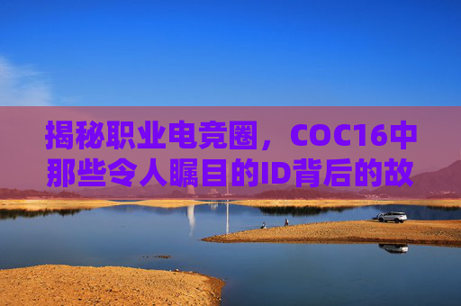 揭秘职业电竞圈，COC16中那些令人瞩目的ID背后的故事,使命召唤16职业选手