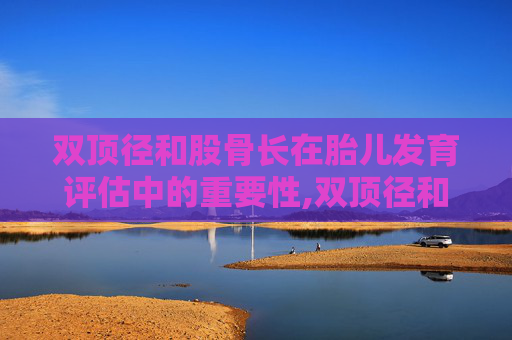 双顶径和股骨长在胎儿发育评估中的重要性,双顶径和股骨长看男女准确率有多高?
