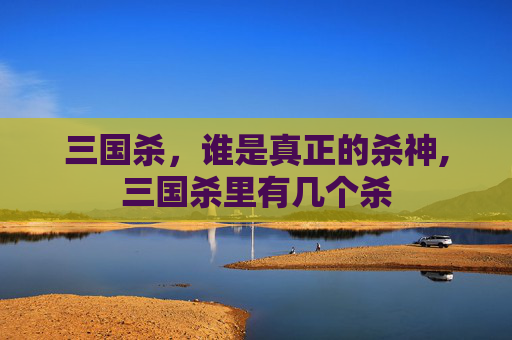 三国杀，谁是真正的杀神,三国杀里有几个杀
