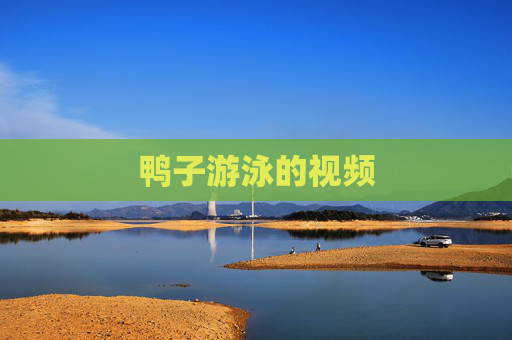 鸭子游泳的视频