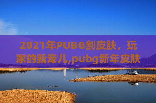 2021年PUBG剑皮肤，玩家的新宠儿,pubg新年皮肤