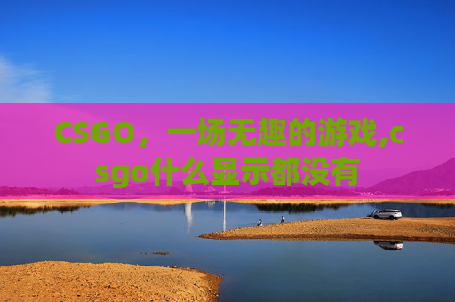 CSGO，一场无趣的游戏,csgo什么显示都没有
