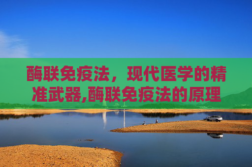 酶联免疫法，现代医学的精准武器,酶联免疫法的原理