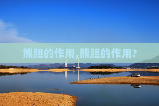 熊胆的作用,熊胆的作用?