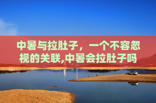 中暑与拉肚子，一个不容忽视的关联,中暑会拉肚子吗中暑的症状有哪些
