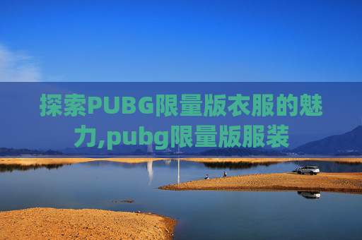 探索PUBG限量版衣服的魅力,pubg限量版服装