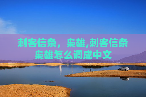 刺客信条，枭雄,刺客信条枭雄怎么调成中文