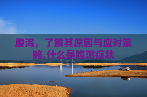 腹泻，了解其原因与应对策略,什么是腹泻症状