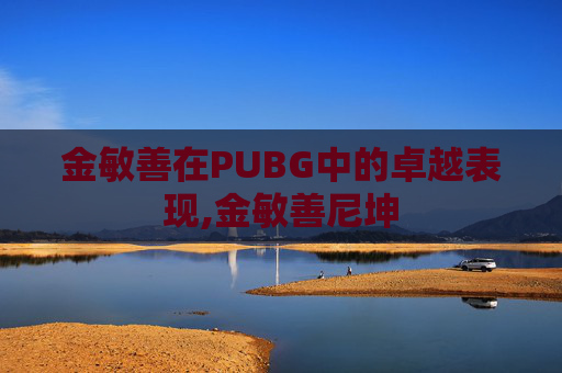 金敏善在PUBG中的卓越表现,金敏善尼坤