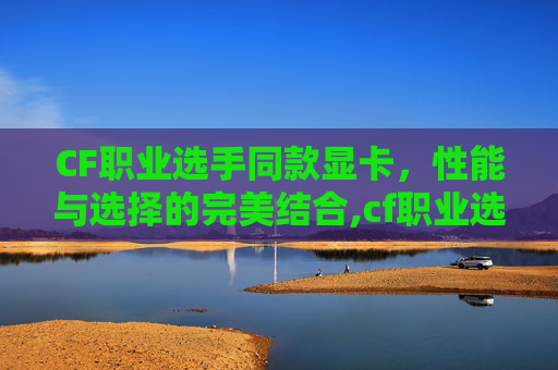 CF职业选手同款显卡，性能与选择的完美结合,cf职业选手显卡设置参数