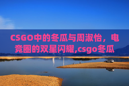 CSGO中的冬瓜与周淑怡，电竞圈的双星闪耀,csgo冬瓜百度百科