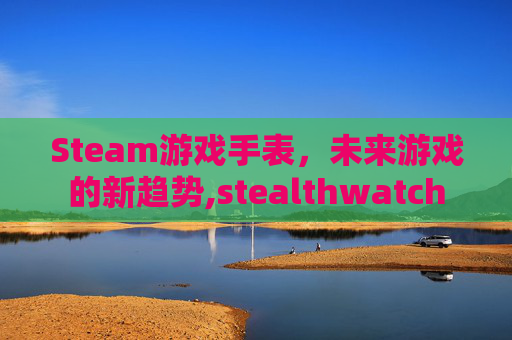 Steam游戏手表，未来游戏的新趋势,stealthwatch