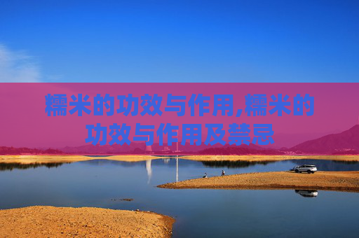 糯米的功效与作用,糯米的功效与作用及禁忌