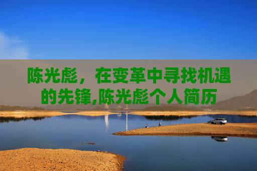 陈光彪，在变革中寻找机遇的先锋,陈光彪个人简历