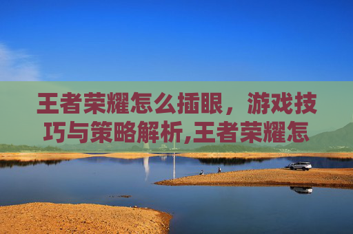 王者荣耀怎么插眼，游戏技巧与策略解析,王者荣耀怎么插眼的