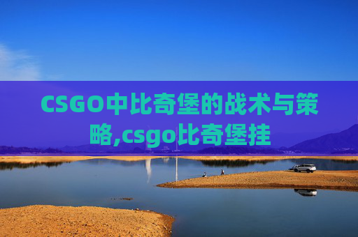 CSGO中比奇堡的战术与策略,csgo比奇堡挂