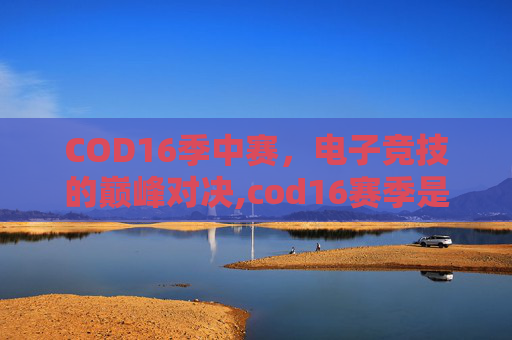 COD16季中赛，电子竞技的巅峰对决,cod16赛季是什么