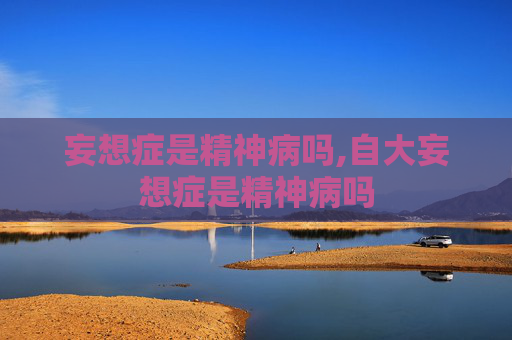 妄想症是精神病吗,自大妄想症是精神病吗