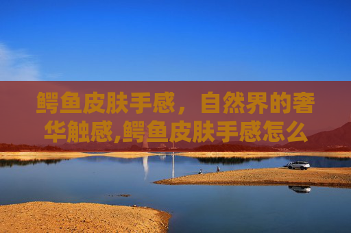 鳄鱼皮肤手感，自然界的奢华触感,鳄鱼皮肤手感怎么样