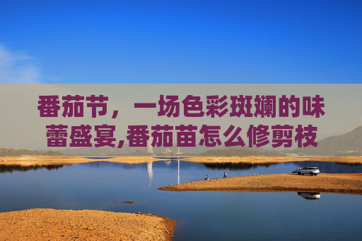 番茄节，一场色彩斑斓的味蕾盛宴,番茄苗怎么修剪枝条