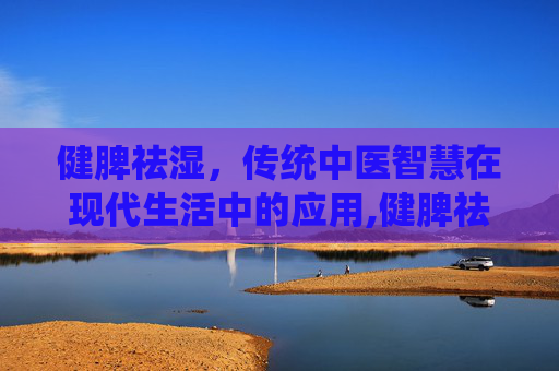健脾祛湿，传统中医智慧在现代生活中的应用,健脾祛湿疏肝理气的中成药