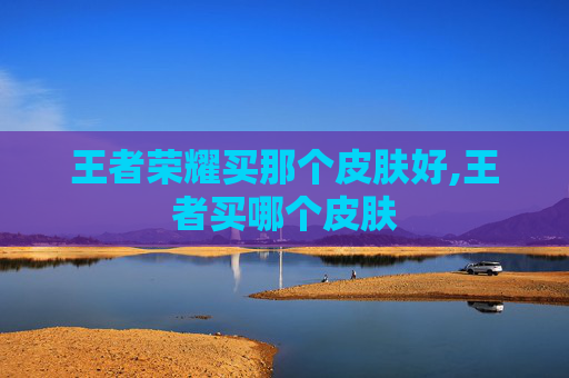 王者荣耀买那个皮肤好,王者买哪个皮肤