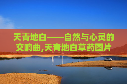 天青地白——自然与心灵的交响曲,天青地白草药图片