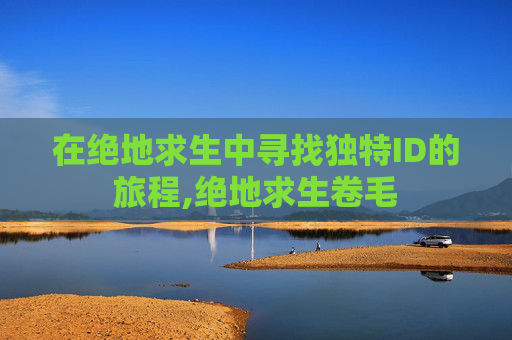 在绝地求生中寻找独特ID的旅程,绝地求生卷毛