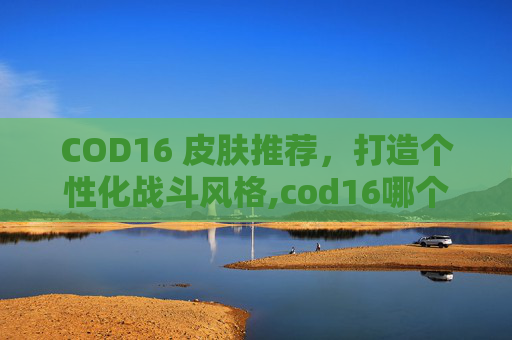 COD16 皮肤推荐，打造个性化战斗风格,cod16哪个皮肤好看