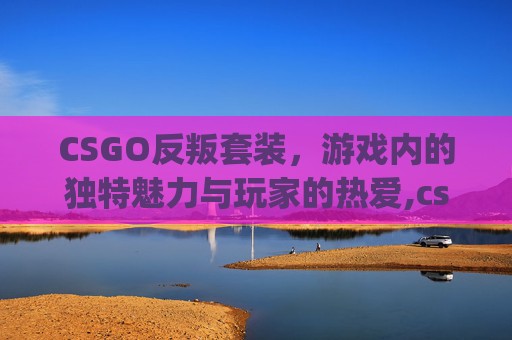 CSGO反叛套装，游戏内的独特魅力与玩家的热爱,csgo反战皮肤