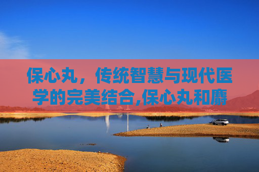 保心丸，传统智慧与现代医学的完美结合,保心丸和麝香保心丸的区别