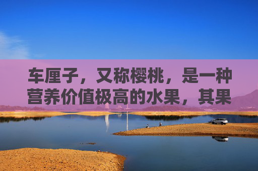 车厘子，又称樱桃，是一种营养价值极高的水果，其果实富含多种对人体有益的营养成分。以下是关于车厘子功效的详细分析，,车厘子的功效与作用及营养价值