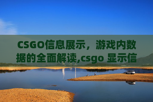 CSGO信息展示，游戏内数据的全面解读,csgo 显示信息