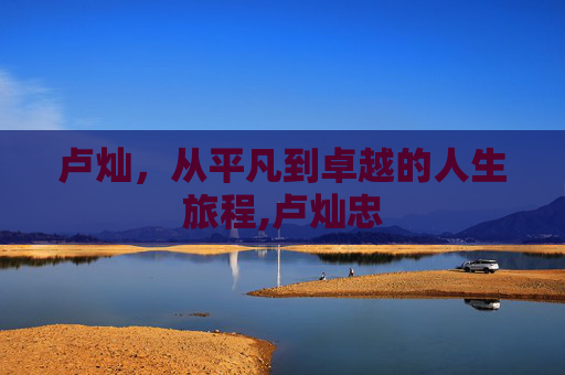 卢灿，从平凡到卓越的人生旅程,卢灿忠