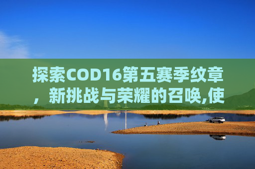 探索COD16第五赛季纹章，新挑战与荣耀的召唤,使命召唤16赛季纹章