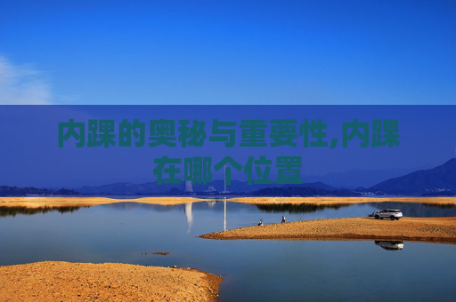 内踝的奥秘与重要性,内踝在哪个位置