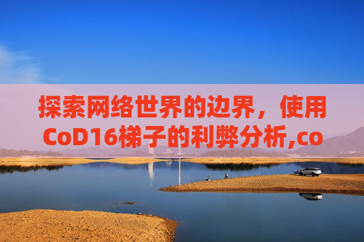 探索网络世界的边界，使用CoD16梯子的利弊分析,cod16ttk