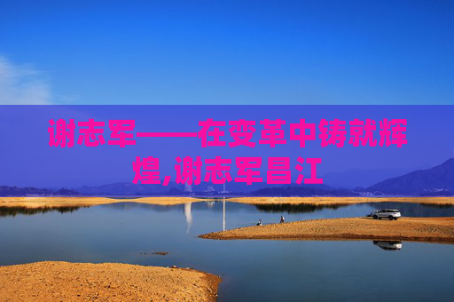 谢志军——在变革中铸就辉煌,谢志军昌江