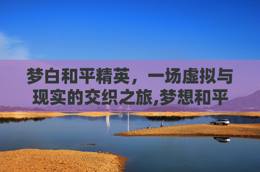 梦白和平精英，一场虚拟与现实的交织之旅,梦想和平精英