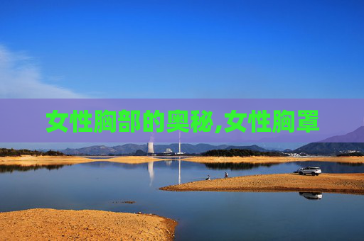 女性胸部的奥秘,女性胸罩
