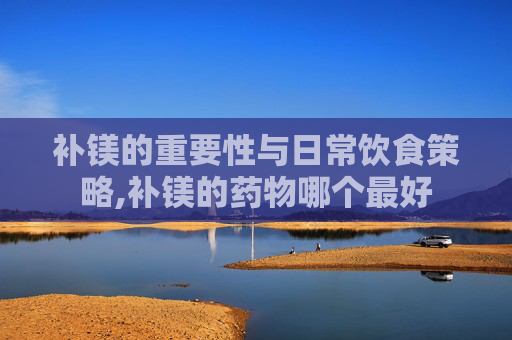 补镁的重要性与日常饮食策略,补镁的药物哪个最好