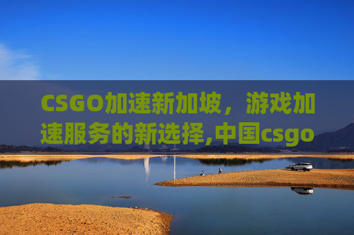 CSGO加速新加坡，游戏加速服务的新选择,中国csgo加速加速哪个地区