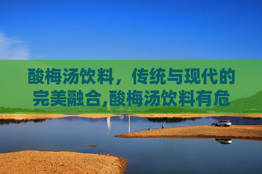 酸梅汤饮料，传统与现代的完美融合,酸梅汤饮料有危害吗