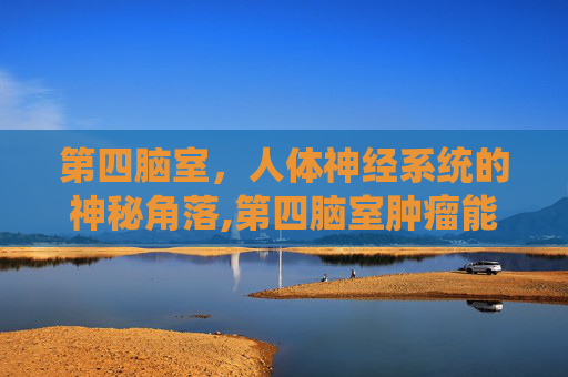 第四脑室，人体神经系统的神秘角落,第四脑室肿瘤能活几年