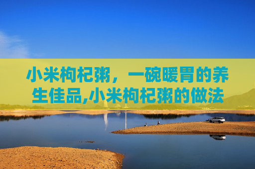 小米枸杞粥，一碗暖胃的养生佳品,小米枸杞粥的做法