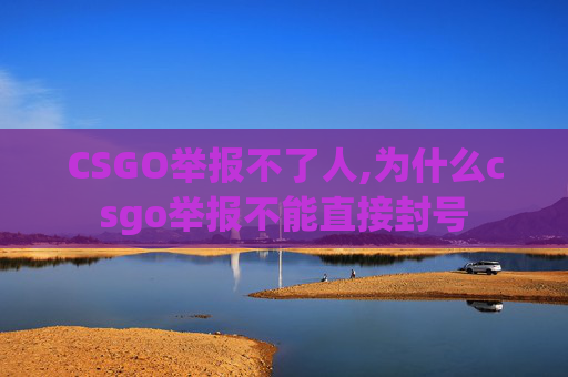 CSGO举报不了人,为什么csgo举报不能直接封号