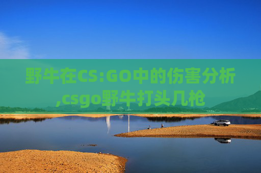 野牛在CS:GO中的伤害分析,csgo野牛打头几枪