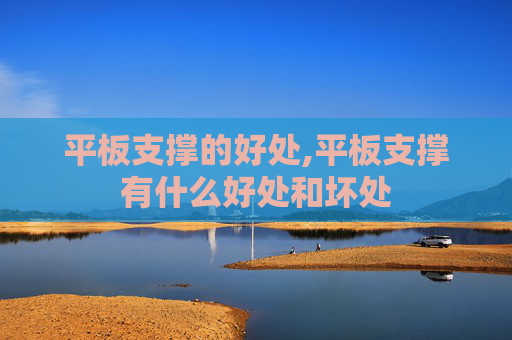 平板支撑的好处,平板支撑有什么好处和坏处