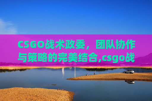 CSGO战术政委，团队协作与策略的完美结合,csgo战术胸章怎么获得